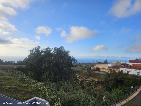 CASA TERRERA EN TACORONTE - SANTA CRUZ DE TENERIFE