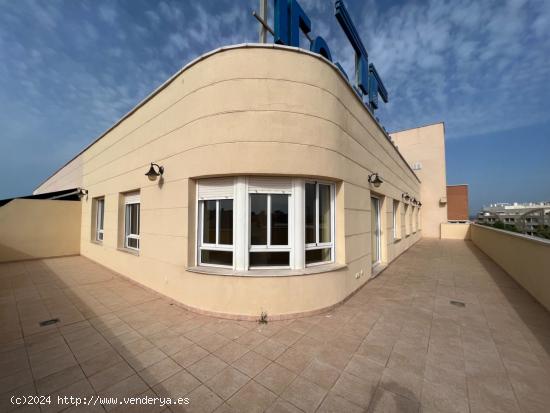 ATICO DE 5 DORMITORIOS 3 BAÑOS, TERRAZA, EN CENTRO DE TORREVIEJA - ALICANTE