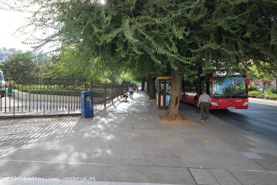 Piso céntrico de 2 dormitorios amueblado junto Plaza del Triunfo - GRANADA