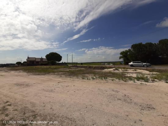 Venta de Parcela en Campo de Cuéllar. Ref.1885 - SEGOVIA