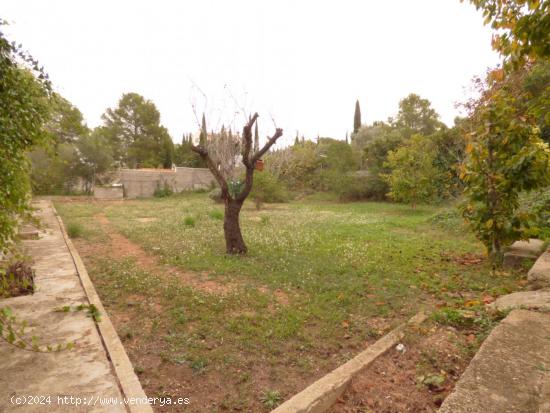 CASA CON TRES VIVIENDAS - TARRAGONA