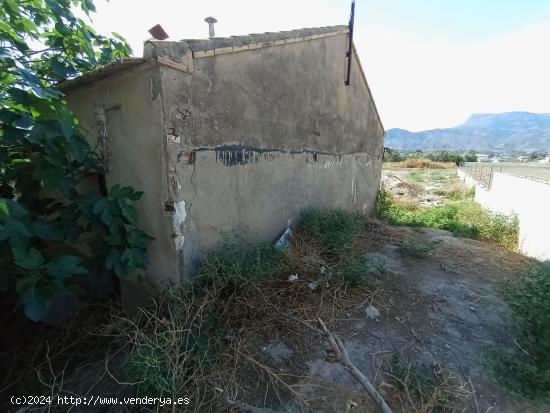 CASA DE CAMPO CON TERRENO PARA REFORMAR EN EL CAMPILLO - LORCA - MURCIA