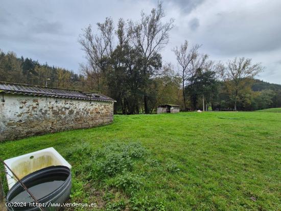 TERRENO EN VENTA EN ZALLA - VIZCAYA