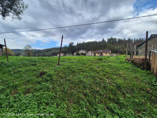 TERRENO EN VENTA EN ZALLA - VIZCAYA