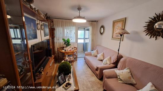 Magnifico apartamento de 2 dormitorios muy cerca del Paseo de Parra - MURCIA