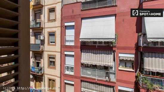 Piso compartido en Barcelona - BARCELONA