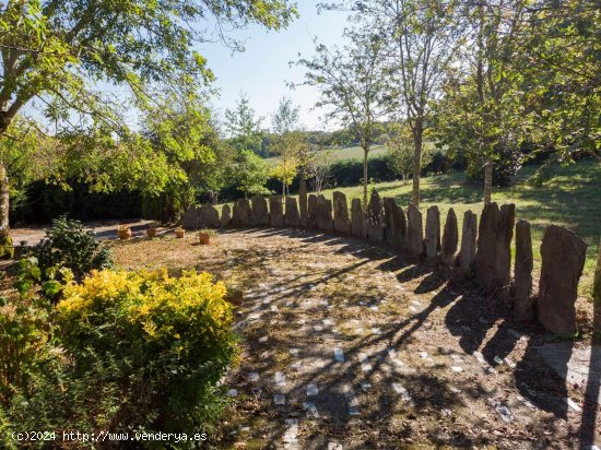 Casa en venta en San Martín de Oscos (Asturias)