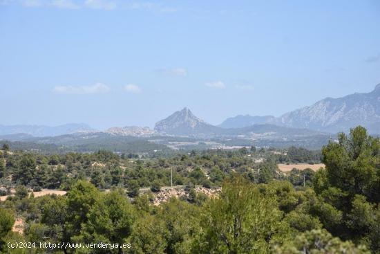  Finca con vistas a los puertos - TERUEL 