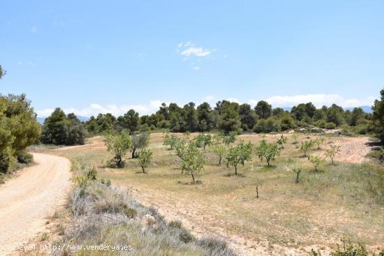 Finca con vistas a los puertos - TERUEL