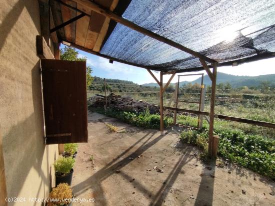 Finca con vivienda en Caseres - TARRAGONA