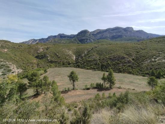 Gran finca en Horta de Sant Joan - TARRAGONA