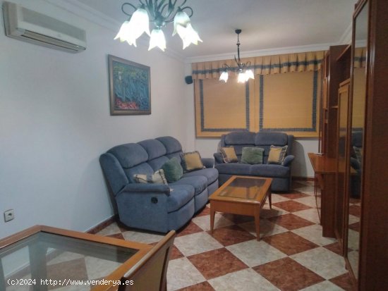  Apartamento en alquiler en Armilla (Granada) 