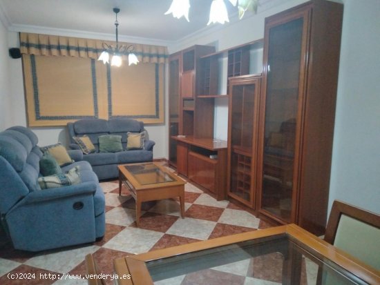 Apartamento en alquiler en Armilla (Granada)