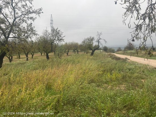  Finca en venta en La Fresneda (Teruel) 