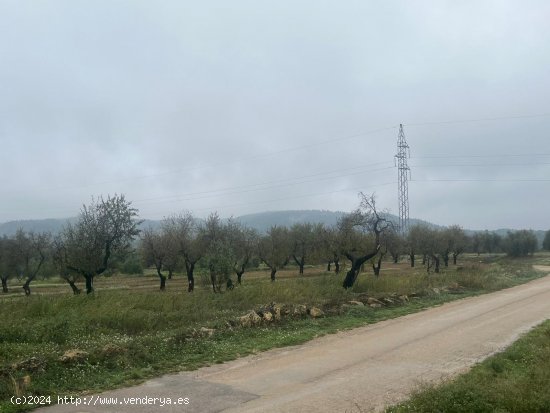 Finca en venta en La Fresneda (Teruel)