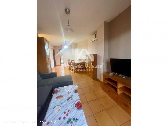 Apartamento en alquiler en Vélez-Málaga (Málaga)