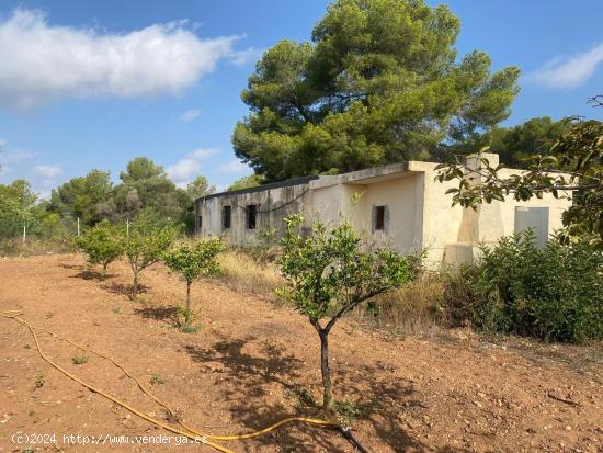  FINCA RUSTICA CON LUZ, AGUA Y ALMACEN AGRARIO EN RODONYA (TARRAGONA) - TARRAGONA 