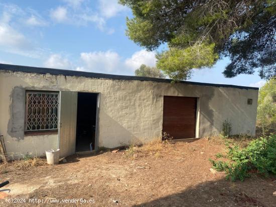 FINCA RUSTICA CON LUZ, AGUA Y ALMACEN AGRARIO EN RODONYA (TARRAGONA) - TARRAGONA