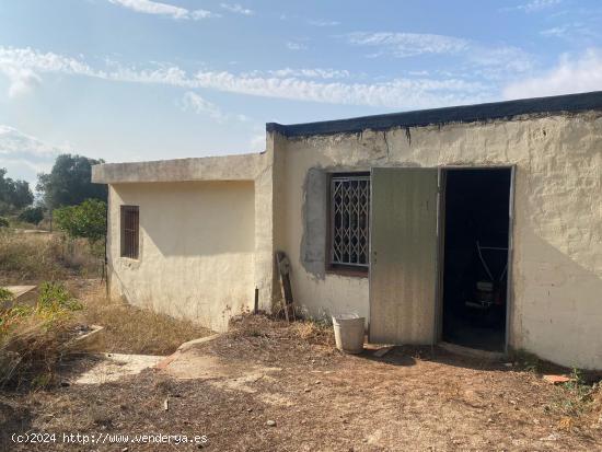 FINCA RUSTICA CON LUZ, AGUA Y ALMACEN AGRARIO EN RODONYA (TARRAGONA) - TARRAGONA