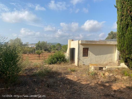 FINCA RUSTICA CON LUZ, AGUA Y ALMACEN AGRARIO EN RODONYA (TARRAGONA) - TARRAGONA