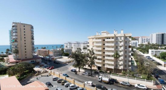  Estudio en alquiler en Benalmádena (Málaga) 