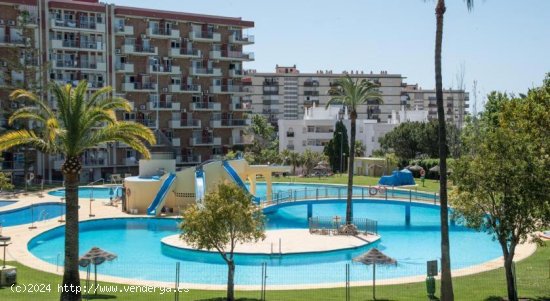 Estudio en alquiler en Benalmádena (Málaga)