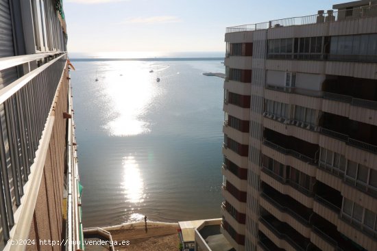 Apartamento en venta en Torrevieja (Alicante)