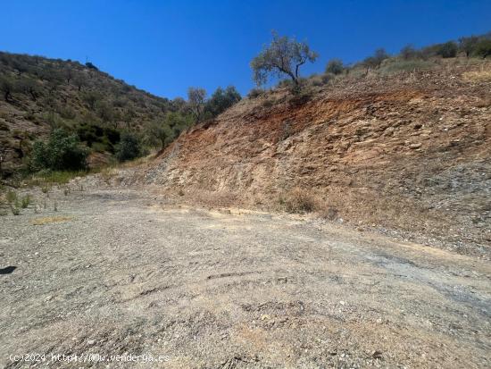 PARCELAS A LA VENTA EN COLMENAR,MÁLAGA!!!! ESPECTACULARES VISTAS!!!!!!! - MALAGA