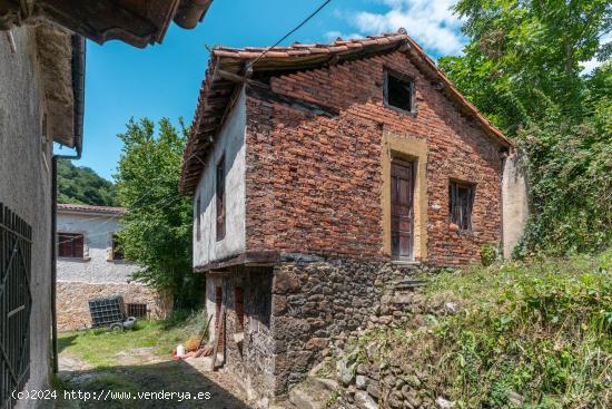  Casa con Gran Jardín para Reforma en el Corazón de Asturias: Conexión Perfecta entre Naturaleza y 