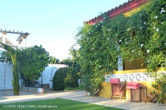 CHALET EN SAN IGNACIO DEL VIAR, ALCALÁ DEL RÍO, SEVILLA. - SEVILLA