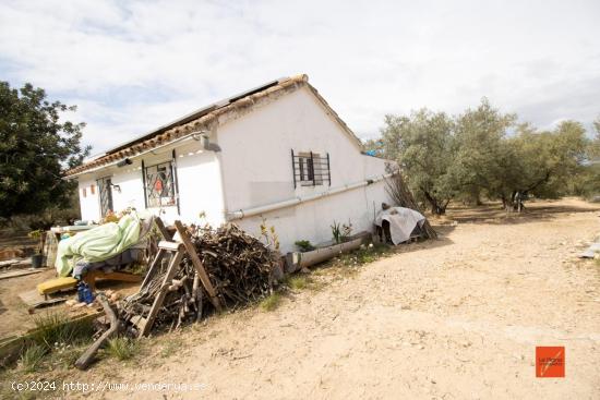 FINCA RUSTICA CON CASA LEGALIZADA EN VENTA EN FREGINALS (TARRAGONA) - TARRAGONA