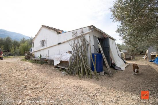 FINCA RUSTICA CON CASA LEGALIZADA EN VENTA EN FREGINALS (TARRAGONA) - TARRAGONA