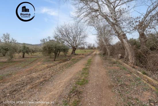 Finca rústica de regadío en Albolote - GRANADA