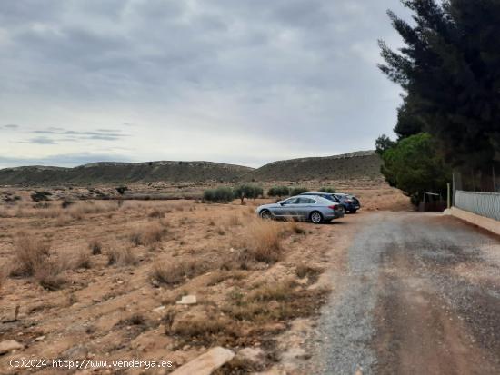 22000 METROS CUADRADOS TERRENOS RÚSTICOS EN BACAROT CERCA DEL GOLF RESORT EL PLANTÍO - ALICANTE