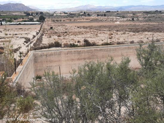 22000 METROS CUADRADOS TERRENOS RÚSTICOS EN BACAROT CERCA DEL GOLF RESORT EL PLANTÍO - ALICANTE