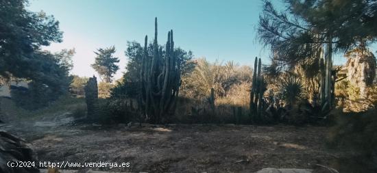  Casa de Campo en La Hoya, Elche - ALICANTE 