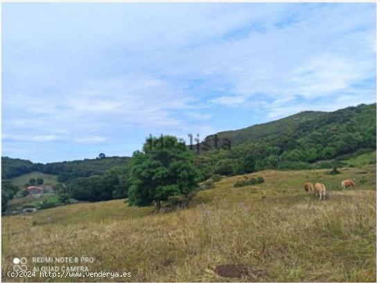 Terreno rustico con edificación - CANTABRIA