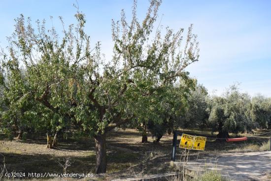 Se Vende en Otura - GRANADA