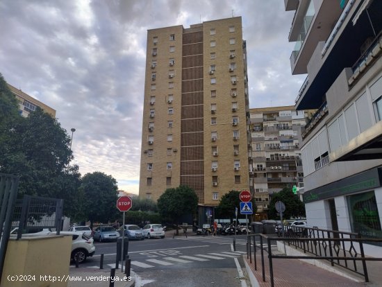  Apartamento de Obra Nueva en Alquiler vacacional en Sevilla Sevilla TRIANA 