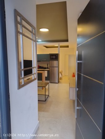 Apartamento de Obra Nueva en Alquiler vacacional en Sevilla Sevilla TRIANA