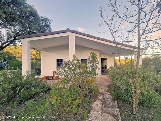 IMPRESIONANTE TERRENO DE 60 HECTÁREAS CON CASA RÚSTICA EN VALDEMORILLO, MADRID.