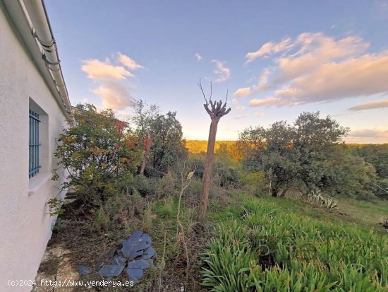 IMPRESIONANTE TERRENO DE 60 HECTÁREAS CON CASA RÚSTICA EN VALDEMORILLO, MADRID.