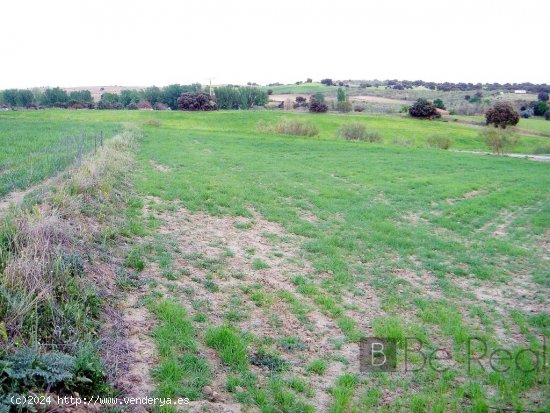 PARCELA DE CLASE RÚSTICA EN LOS MORALES, QUIJORNA (MADRID).