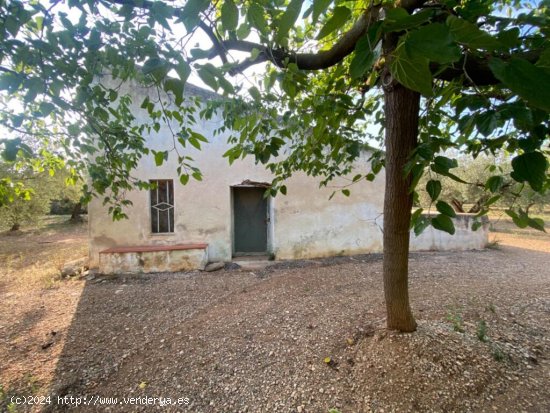  Fantástica finca con casa en la Miliana 