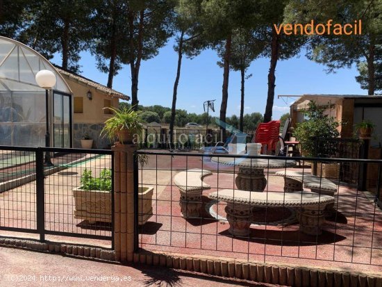 SE VENDE PARCELA EN CHINCHILLA DE 4000 METROS CON PISCINA POR 280000€