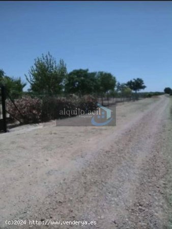 SE VENDE TERRENO EN CASAS DE BENITEZ DE 3100 METROS POR 18500€