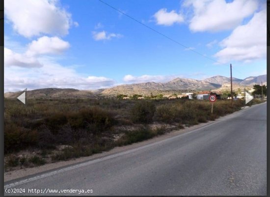 TERRENO EN SAN VICENTE