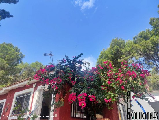 Casa de campo con amplia parcela y piscina privada en Altea la vella.