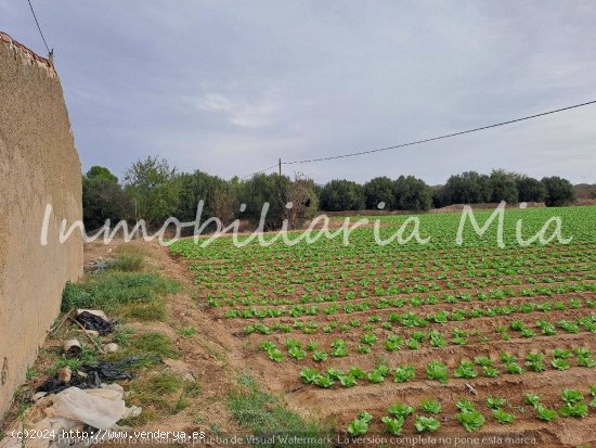 Se vende finca de 14000m2 Aprox en Huercal Overa (San Fracisco)