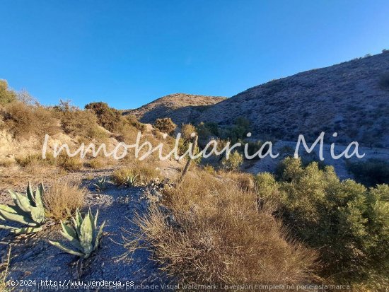 Se vende finca de 50.000m2 aprox, completamente vallada, con casa